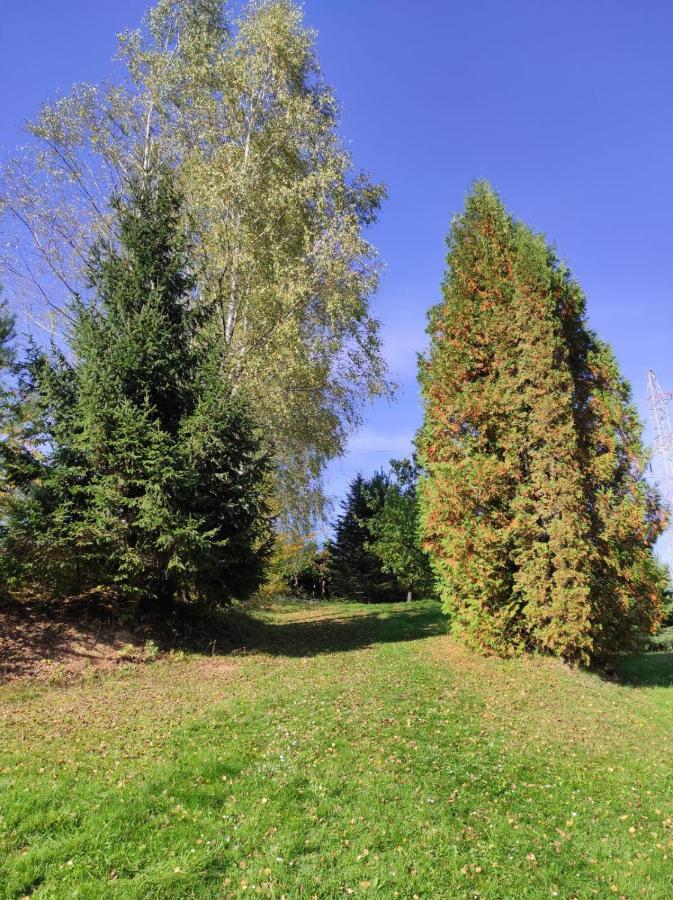 Za Potokiem Vila Solina  Exterior foto