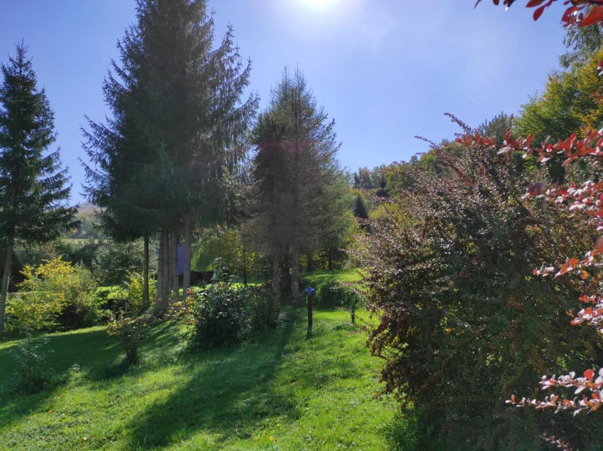 Za Potokiem Vila Solina  Exterior foto