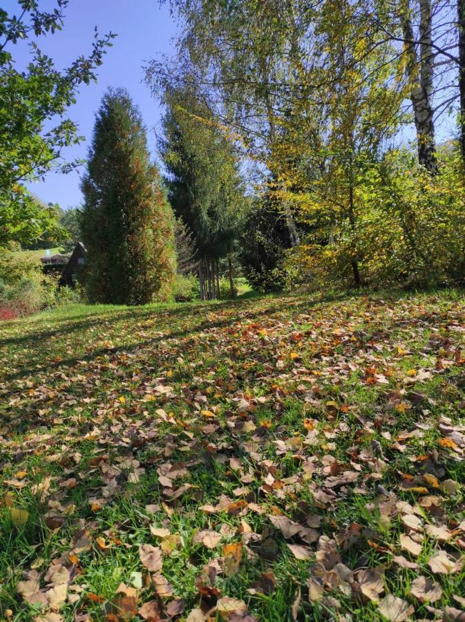 Za Potokiem Vila Solina  Exterior foto