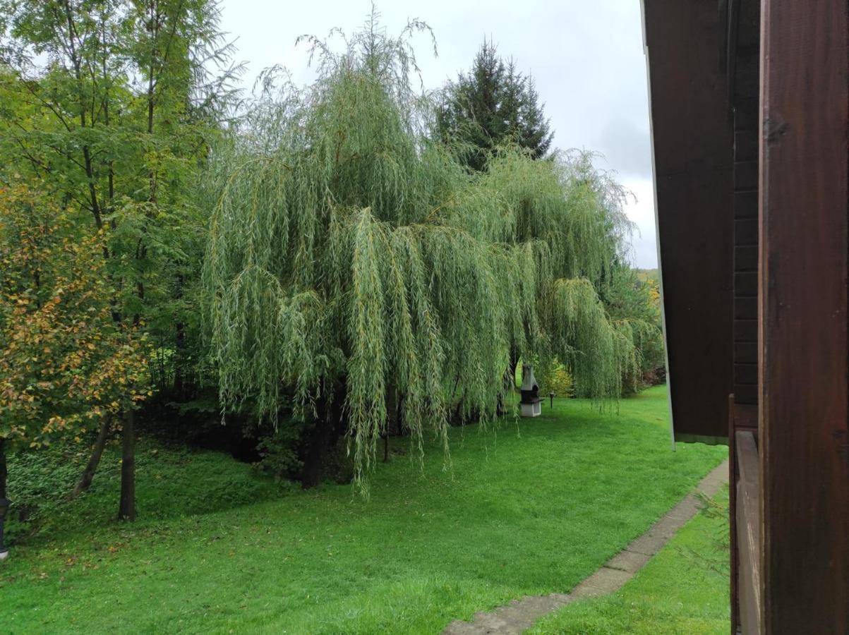Za Potokiem Vila Solina  Exterior foto