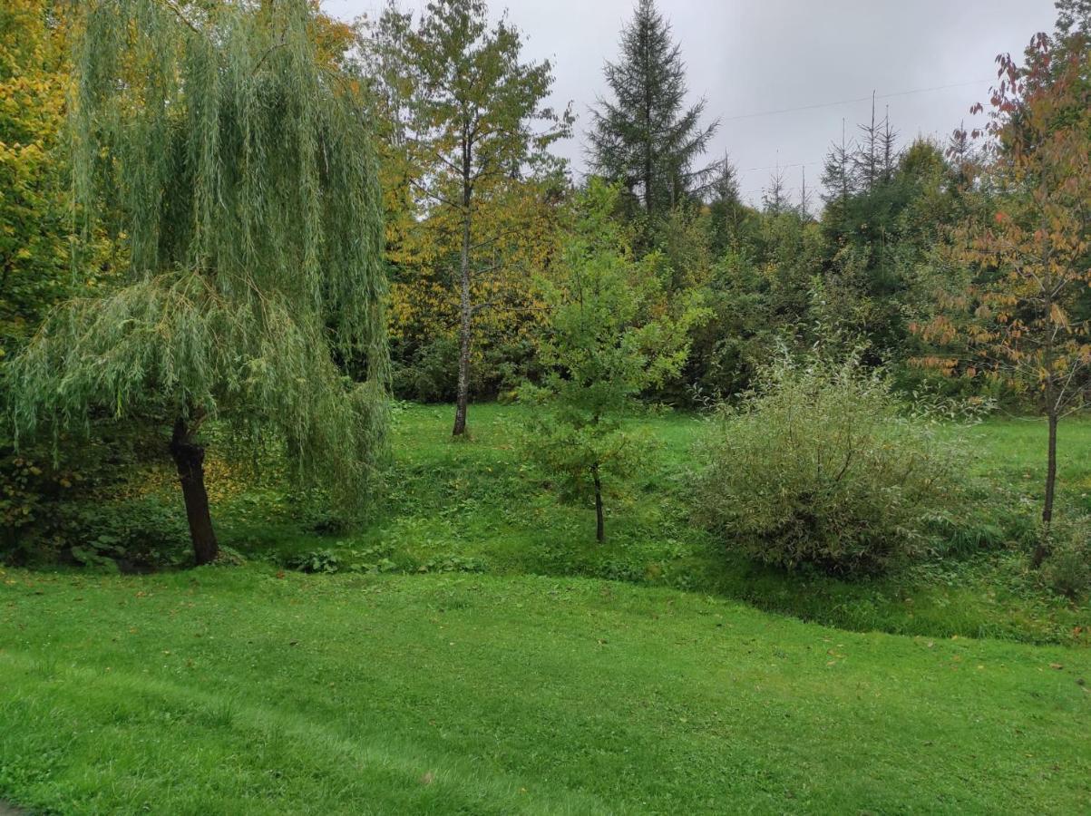 Za Potokiem Vila Solina  Exterior foto