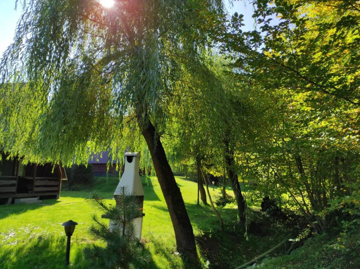 Za Potokiem Vila Solina  Exterior foto