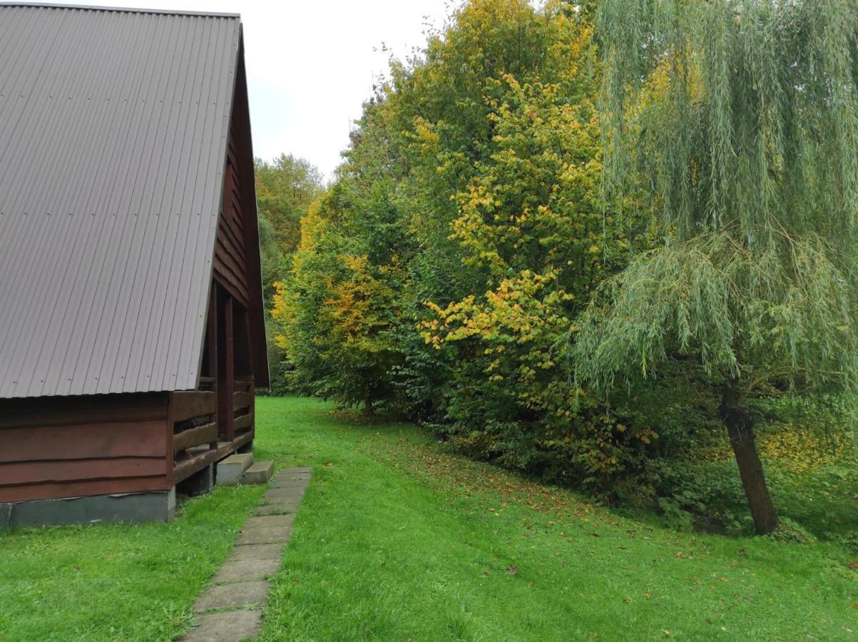 Za Potokiem Vila Solina  Exterior foto