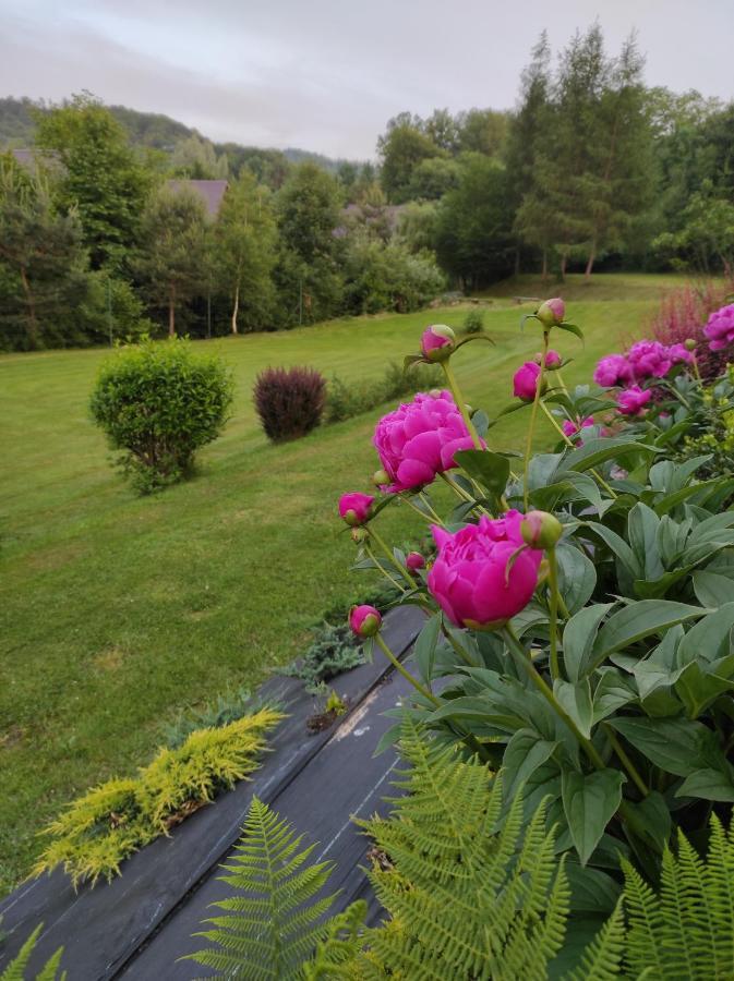Za Potokiem Vila Solina  Exterior foto