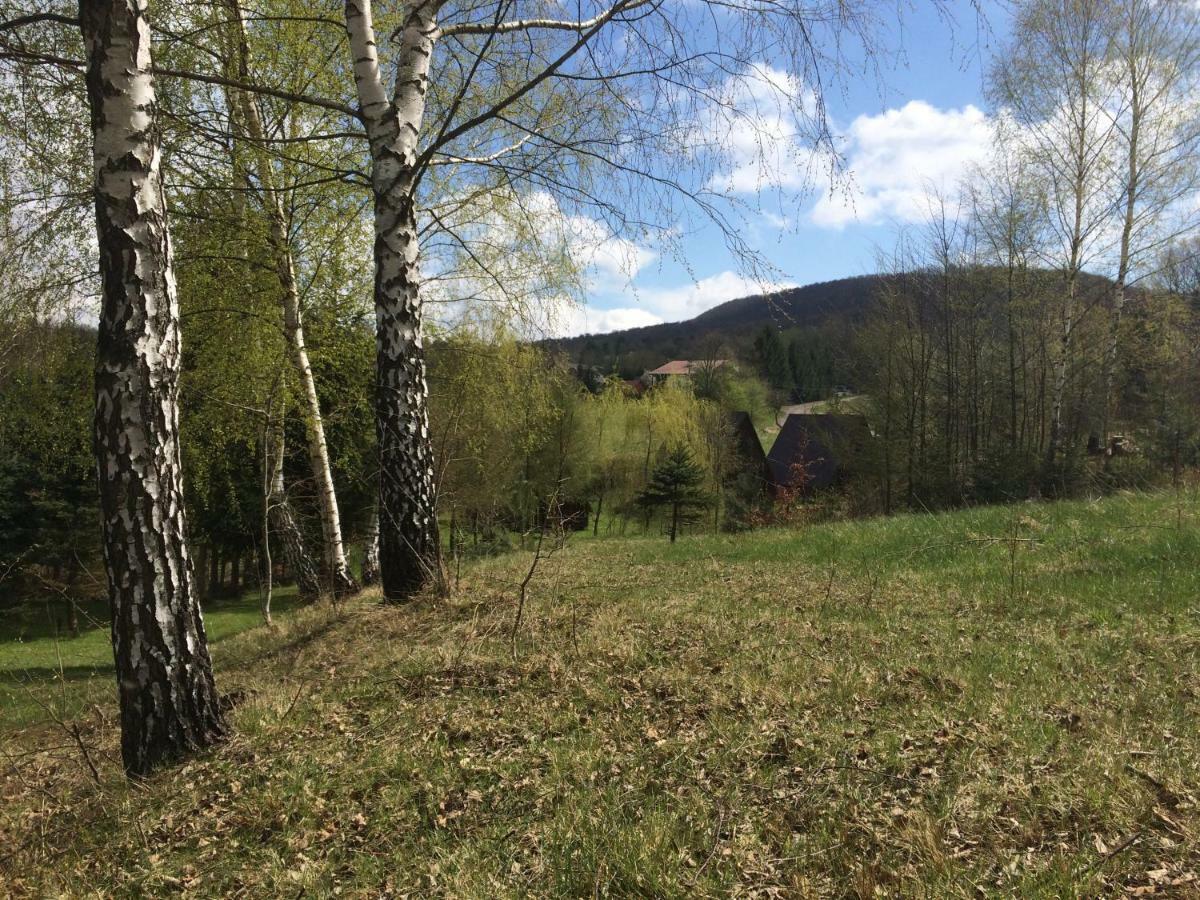 Za Potokiem Vila Solina  Exterior foto