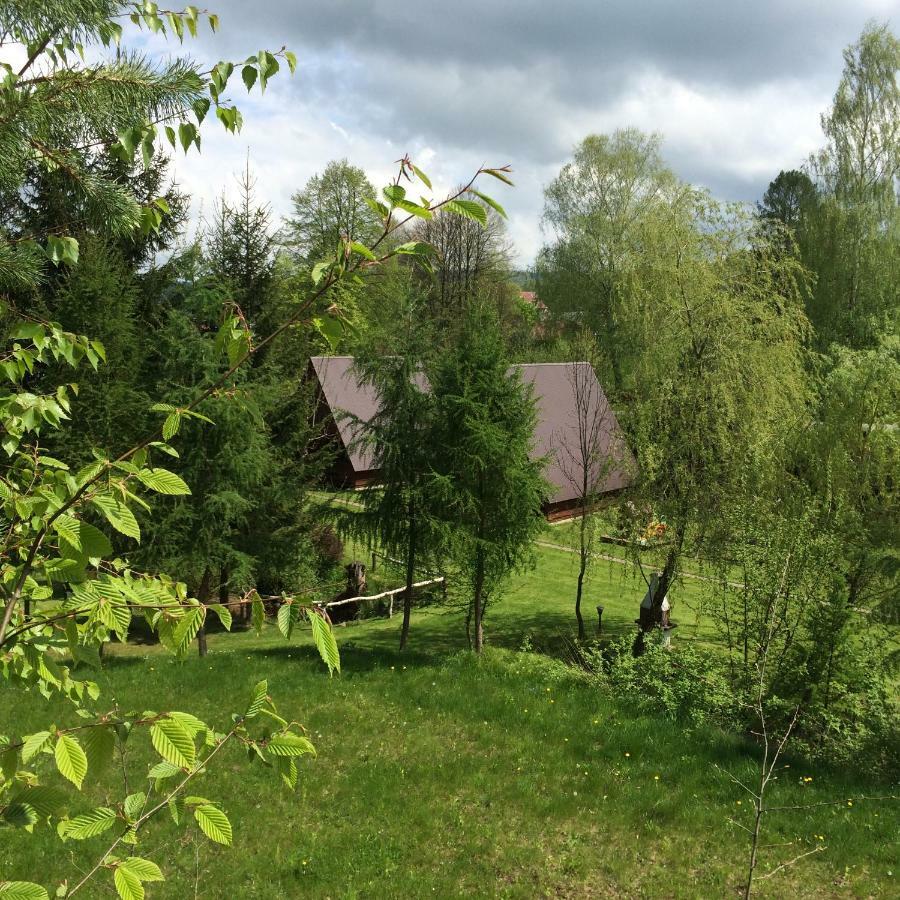Za Potokiem Vila Solina  Exterior foto